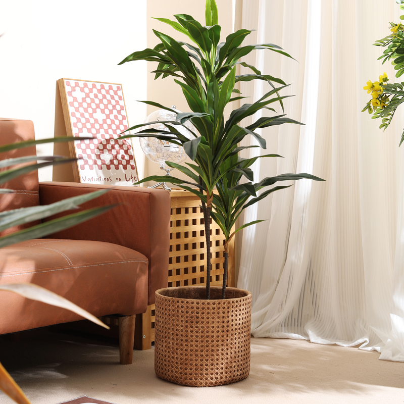 أثاث للشقق الصغيرة، أصيص زهور  - مراجعة Furniture Paradise & Hardware Ghaziabad By Owner وسعره